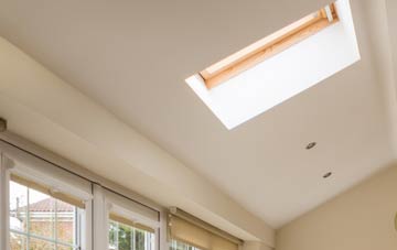 Skyreburn conservatory roof insulation companies